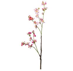 EUROCINSA Ref.89045C25 Manzano EN Flor Rosa Fucsia, Caja de 12uds, 83cm