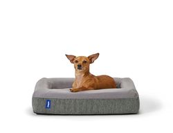 Casper Cama para cão, nylon, cinzento, 48 x 66 x 15 cm (L x W x A)