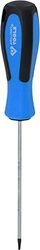 BRILLIANT TOOLS BT031039 Tournevis TORX, T8 x 100 mm [Powered by KS TOOLS]