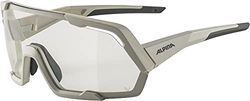 ALPINA Unisex - Vuxna, ROCKET V Sportglasögon, cool-grey matt, One Size