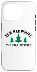 New Hampshire Case for iPhone 16 Pro