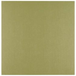 Cartoncino di lino Florence Acacia 250 g - Creazione di biglietti - 30,5 x 30,5 cm - Materiale per scrapbooking – Pesante, resistente - Inviti eleganti, scatole da regalo e progetti artistici