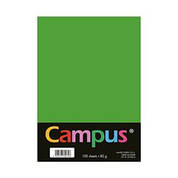 Campus - Papel de Colores A4 100 Unidades, 80g/m², 210 x 297 mm. Papeles A4 de colores con tacto suave, perfectas para encuadernación, oficina, dibujo y manualidades. Color Verde Manzana