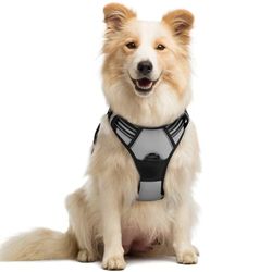 rabbitgoo Hondenharnas No Pull Grijs M, Gewatteerde Verstelbare Huisdier Vest, Hondentuigje met handvat en Frontclip, Duurzaam Reflecterend, Anti-trek Hondentuig voor Training Wandelen