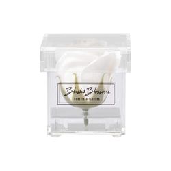 Blush & Blossom Rosa Flor en Despejar Caja, Avalanche