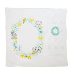 Enesco Disney Baby Collection Couverture pour bébé