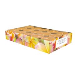 Pajoma 92003 30 Velas de té perfumadas (Mango de Color Naranja (Aprox. 14 Horas de duración, Modern Line, Altura 1,5 cm