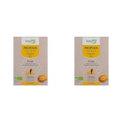 HerbalGem Propolis Large Spectre Gommes Bio 24 Gommes (Lot de 2)