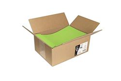 Clairefontaine 7055C – Pudełko 200 samoprzylepnych kopert luzem – Format 22,9x32,4cm – 120g – kolor miętowa zieleń – zaproszenia i korespondencja – Kolekcja Pollen – Papier gładki Premium