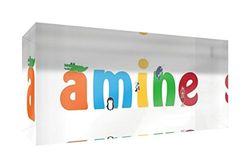 Little Helper Souvenir Décoratif en Acrylique Transparent Poli comme Diamant Style Illustratif Coloré avec le Nom de Jeune Garçon Amine 5 x 15 x 2 cm Petit