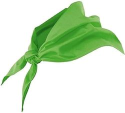 Velilla 404003/C/TU – Foulard triangulaire (moderne), vert, 404003/C25/TU