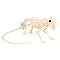 Boland 72407 - rattenskelet, maat 46 cm, beweegbare mond, ratten, dummy van kunststof, decoratie voor Halloween, carnaval of themafeest