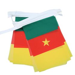 AZ FLAG Ghirlanda 6 Metri 20 Bandiere Camerun 21x15cm, Bandiera Camerunese 15 x 21 cm - Festone Bandierine