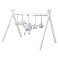roba Babyspeelboog van hout, babygym en Montessorie-speelgoed met hanger, roba Style, activity center en speeltrapezium vanaf 3 maanden, lichtblauw
