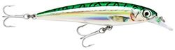 Rapala - Leurre de Pêche X-Rap Saltwater - Matériel de Pêche pour les Gros Prédateurs - Leurre Pêche Mer Tout Poisson - Profondeur de Nage 1.2-1.8m - 10cm / 13g - Fabriqué en Estonie - Green Mackerel