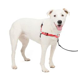 PetSafe Luxo para cães arnês Deluxe Easy Walk, médio/grande, vermelho, neopreno, rosa (b), M/L