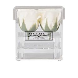 Blush & Blossom C04C Fiori, Crema