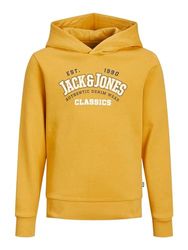 Jack & Jones Essentials Logo Hood 2 Hoodie Junior