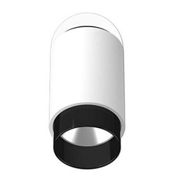 JUNG PL S1 WD05 WW SW Proiettore, Bianco Alpino (White) - Guscio Nero (Black) - Anello Antiriflesso