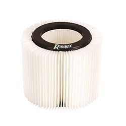 Ribimex PRASP31LPE/HEPA Filtro Hepa de Repuesto para aspiradora PRASP31LPE, Negro y Blanco