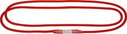 Climbing Technology ALP Loop 120 Anel de corda, adultos unissexo, vermelho, 120 cm