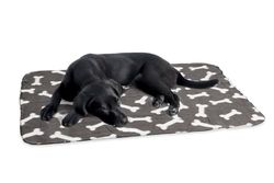 Karlie 1030691 Manta de Terciopelo 100 x 70 cm Gris con Estampado de Huesos