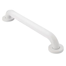 Moen R8912W Home Care Grab Bar, 12", White