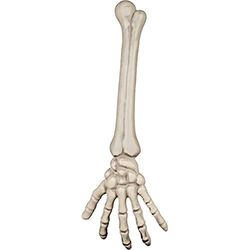 Boland 74.556 - Skelettarm, decorazioni, circa 46 cm