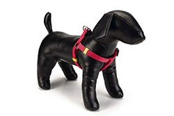 Beeztees Uni Harnais en Nylon pour Chien Rose 60-100 x 2,5 cm