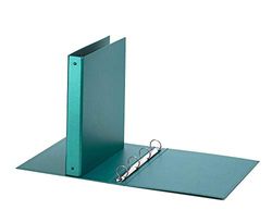 Favorit 400051119 Folder 22 x 30 cm, 1 Piece, Green Metallic