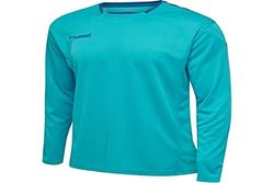 hummel Garçon Hmlauthentic Kids Poly Jersey L/S Maillot, Bleu Bluebird, 164 EU