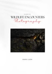 Wildlife encounters photography: A wildlife photobook containing the encounters of the nature photographer Andrei Lazar