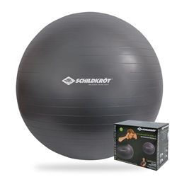 Schildkröt Ballon de Gymnastique pour Adulte 55 cm, Argenté