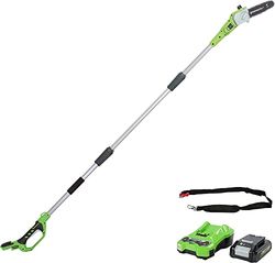 Greenworks G24PS20K2 Serras telescópicas para exterior, barra de 8 polegadas (20 cm), velocidade de corrente de 6,7 m/s, 3,2 kg, auto-lubrificado, alcance de poste de 2,6 m, bateria 24 V 2 Ah