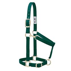 Weaver Leather Licol Basique Ajustable en Nylon, 2,5 cm de Largeur, pour Cheval de Taille Moyenne, Vert Chasseur