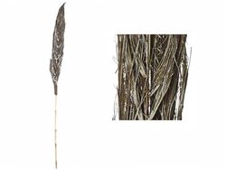 VARA PALMA DE DATIL BLANCA 145 cms