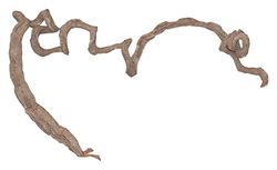 Lucky Reptile Cavatappi liana sottile, 80-120 cm