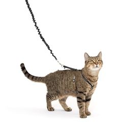 PetSafe, come with Me Kitty, Pettorina e guinzaglio Elastico per Gatti
