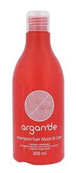stapiz 57274 Argan of Moist & Care Shampoo – 300 ml