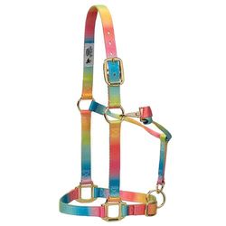 Weaver Leather Halster voor een klein paard, gemaakt van polyester en voorzien van een verstelbare regenboog-kinband en keelstuk met drukknoopsluitingen, breedte 2,5 cm
