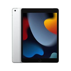 Apple 2021 10,2‑inch iPad (Wi-Fi + Cellular, 256 GB) - zilver