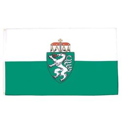 BANDIERA STIRIA 150x90cm - BANDIERA DE STEIERMARK IN AUSTRIA 90 x 150 cm - AZ FLAG