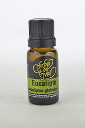 Herbes Del Olio Essenziale Eucalipto Eco 10 ml Confezione da 10 ml 400 g