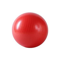 Sunny Health and Fitness Sunny Health & Fitness Anti-Burst Gym Ball W/Pump-55cm, Palla da Ginnastica Unisex, Rosso, Taglia Unica