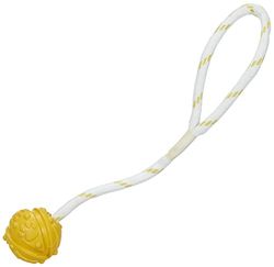 Trixie, Palla con corda di gomma, Galleggiante, Diametro palla 4.5 cm, Lunghezza della corda 35 cm, Per Cani, Colori Assortiti