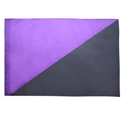 BANDIERA ANARCO-FEMMINISMO 90x60cm - BANDIERA ANARCO-FEMMINISTA 60 x 90 cm foro per asta - AZ FLAG