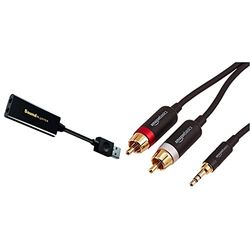Creative Sound Blaster Play!3 USB-DAC-Amplificatore e Scheda Audio Esterna, Nero & Amazon Basics Cavo adattatore da 3.5 mm a 2 RCA maschio, 1,22 metri