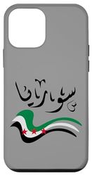 Bandiera della Siria, Damasco, Bandiera siriana, Amo la Siria Custodia per iPhone 12 mini