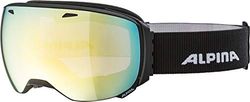 ALPINA Big Horn QV Skibril, uniseks, zwart, mat, één maat