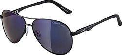 ALPINA Unissexo - Adultos, óculos de sol a 107, Black Matt, One Size